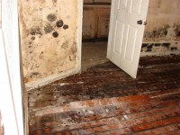Mold after pipes burst in vacant house